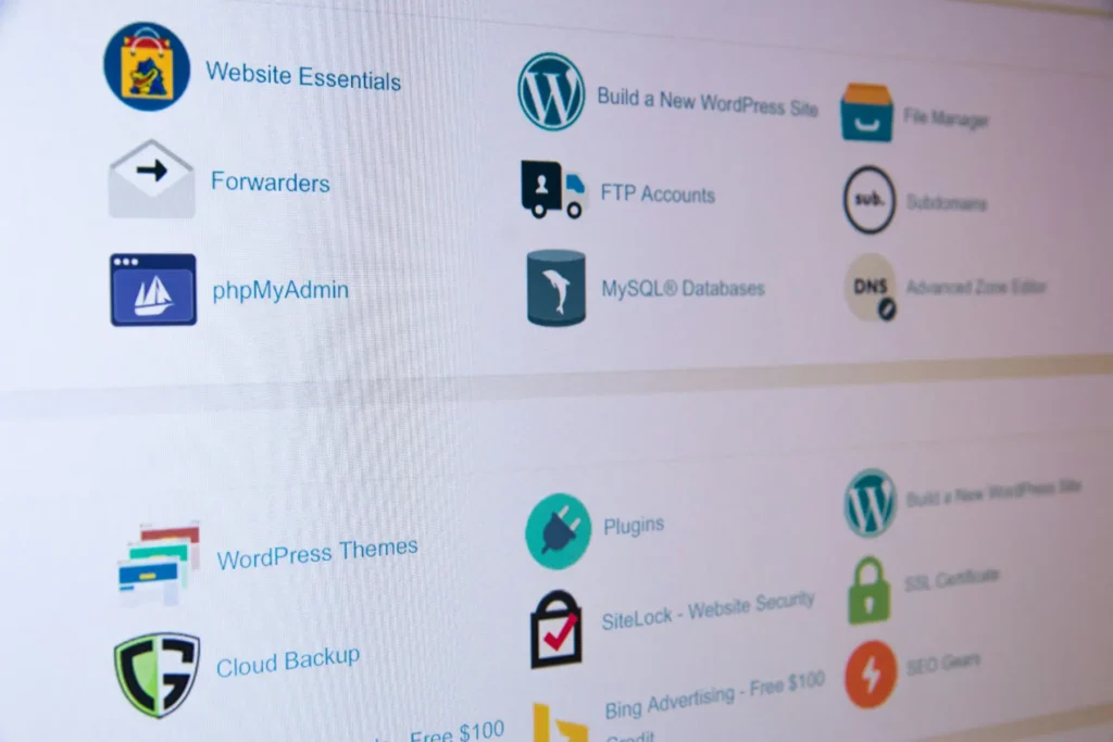 Arabic website hosting services