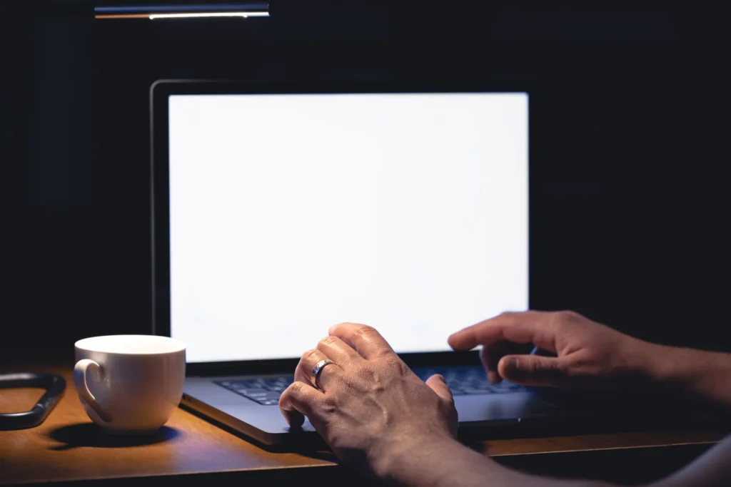 premium WordPress themes 2025
